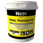 Natec peinture 08