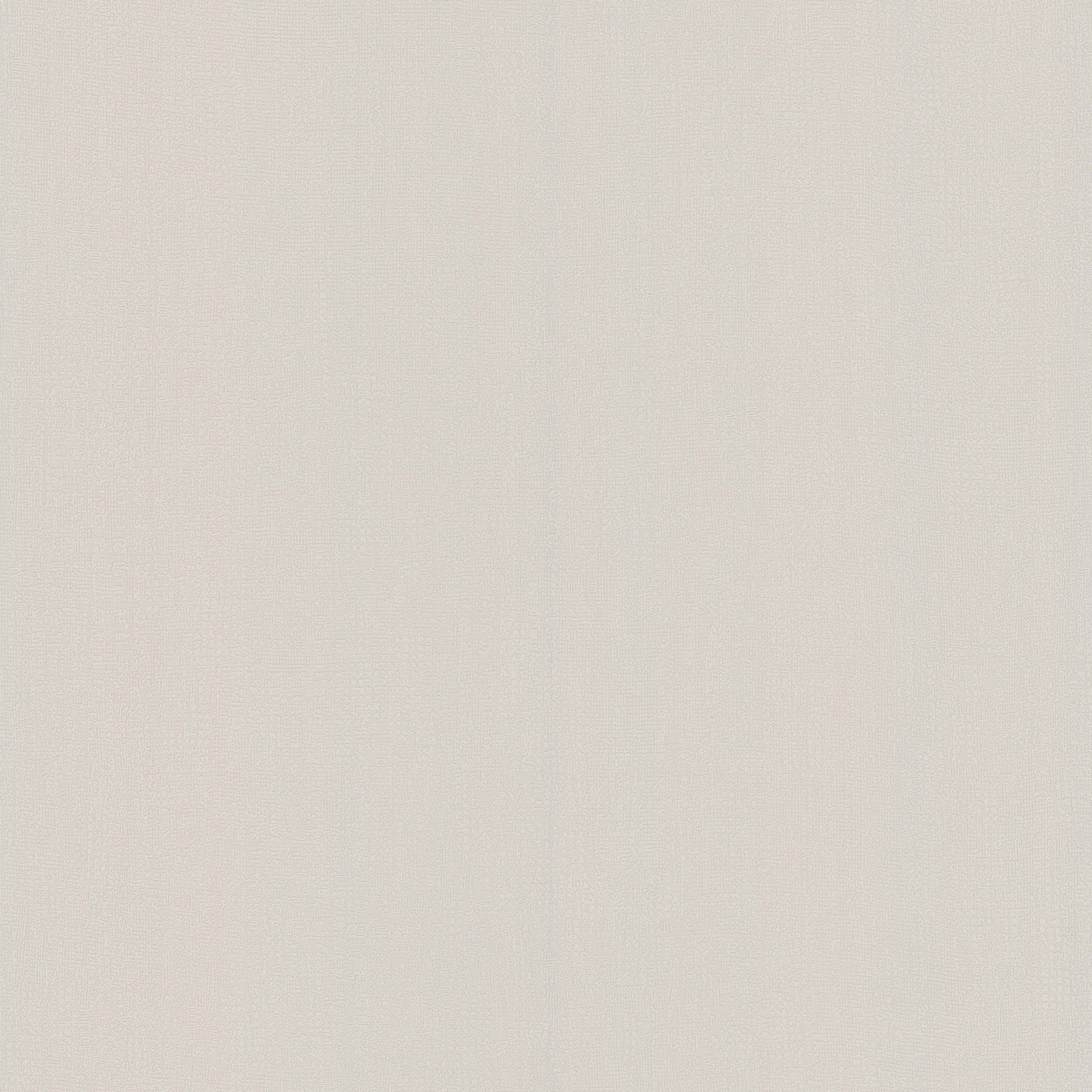 Papier Peint Expansé sur Intissé - Uni - Beige