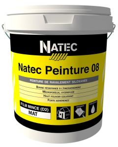 Natec Peinture 08